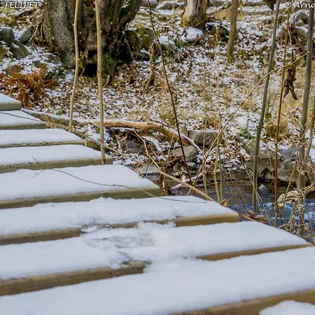 Cal Felipet Rural Olopte